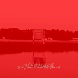 Thinking About the Immortality of the Crab