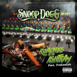 Roaches in My Ashtray