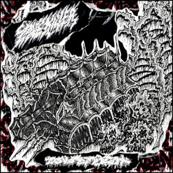 Zone of Death