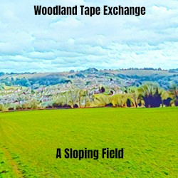A Sloping Field