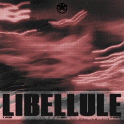 Libellule