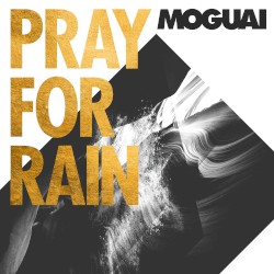 Pray for Rain (The Remixes)
