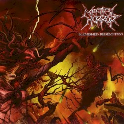 Blemished Redemption