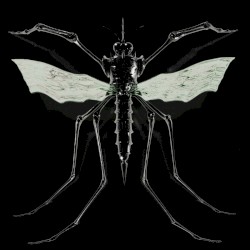 GNAT