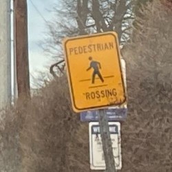 she/they got a ticket for speeding!