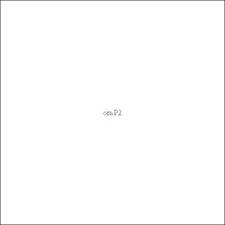 om.P2