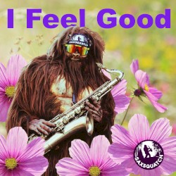 I Feel Good