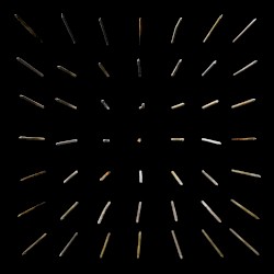 There Existed an Addiction to Blood