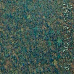 Spore 5, the Fifth: 18°01'24.5"S 58°31'52.9"W