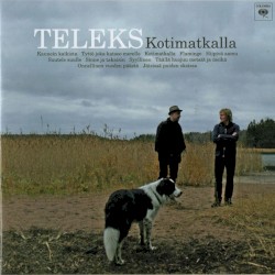 Kotimatkalla