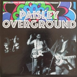 Paisley Overground