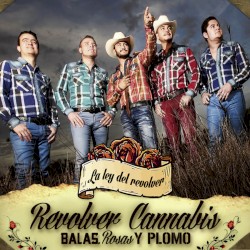 Balas, rosas y plomo