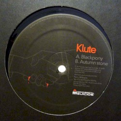 Blackpony / Autumn Stone