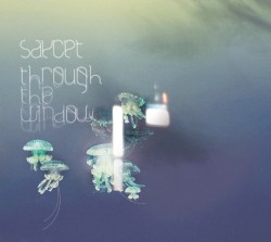 Through the Window
