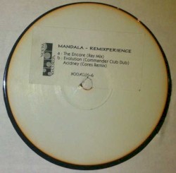 Remixperience