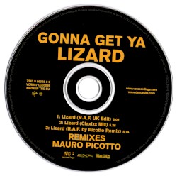 Lizard