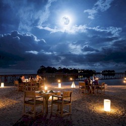 Romantic Echoes