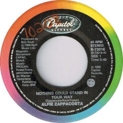 Nothing Could Stand in Your Way