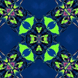 Argentine Gnome (remix)