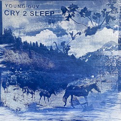 Cry 2 Sleep