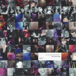 Still Becoming Apart