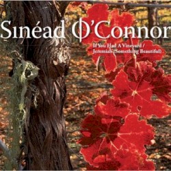 If You Had a Vineyard / Jeremiah (Something Beautiful)
