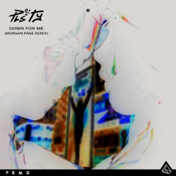 Down for Me (Morgan Page remix)
