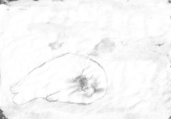 i wish it could be you