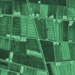 Sketches for The Worked Land