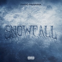 Snowfall
