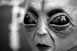 The Heroes of the Past Had Hopeless Schemes for the Future of Mankind, but Boy Were They Wrong About the Phantasmagoric Degradation Our Species Will Face by 2022; So Much So That Even the 72 Virgins Promised by Islam Cannot Level All Our Inhibitions; Stay a UFO Because the Alternative Is Much Worse!