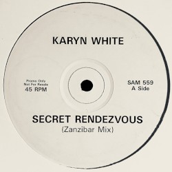 Secret Rendezvous