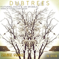 Celtic Vedic In Dub
