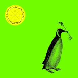 I cani non sono i pinguini non sono i cani