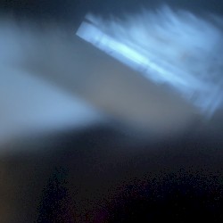 Kiwi Synthesis Diary 21k