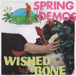 Spring Demos