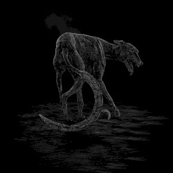 Bring Down The Flags