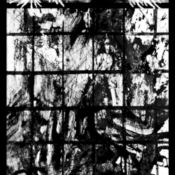 Life Assisted Suicide