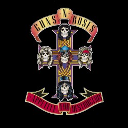 Appetite for Destruction