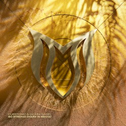 So Strong (Mark W. Remix)