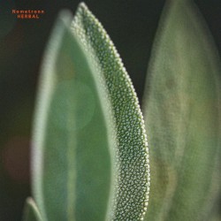 Herbal