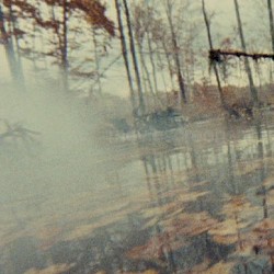 Nefarious Semblance vs. Forest of Frogs