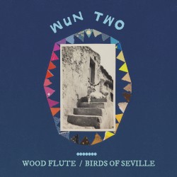 wood flute / birds of seville