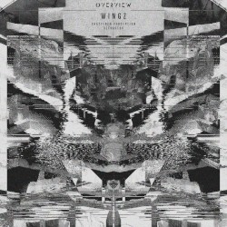 Shattered Perception / Detractor