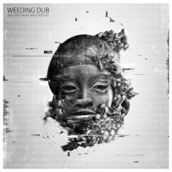 Another Night Another Day