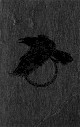 Night Radiance, Pt. 2