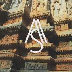 Anellaria (Agaricaceae) Pt №3