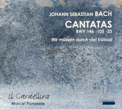 Cantatas 146, 33 & 103