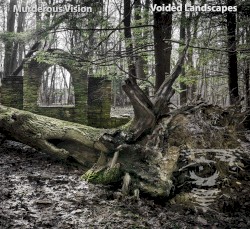 Voided Landscapes