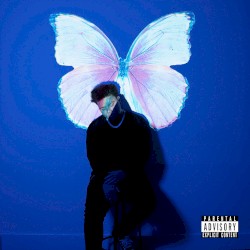 The Butterfly Effect